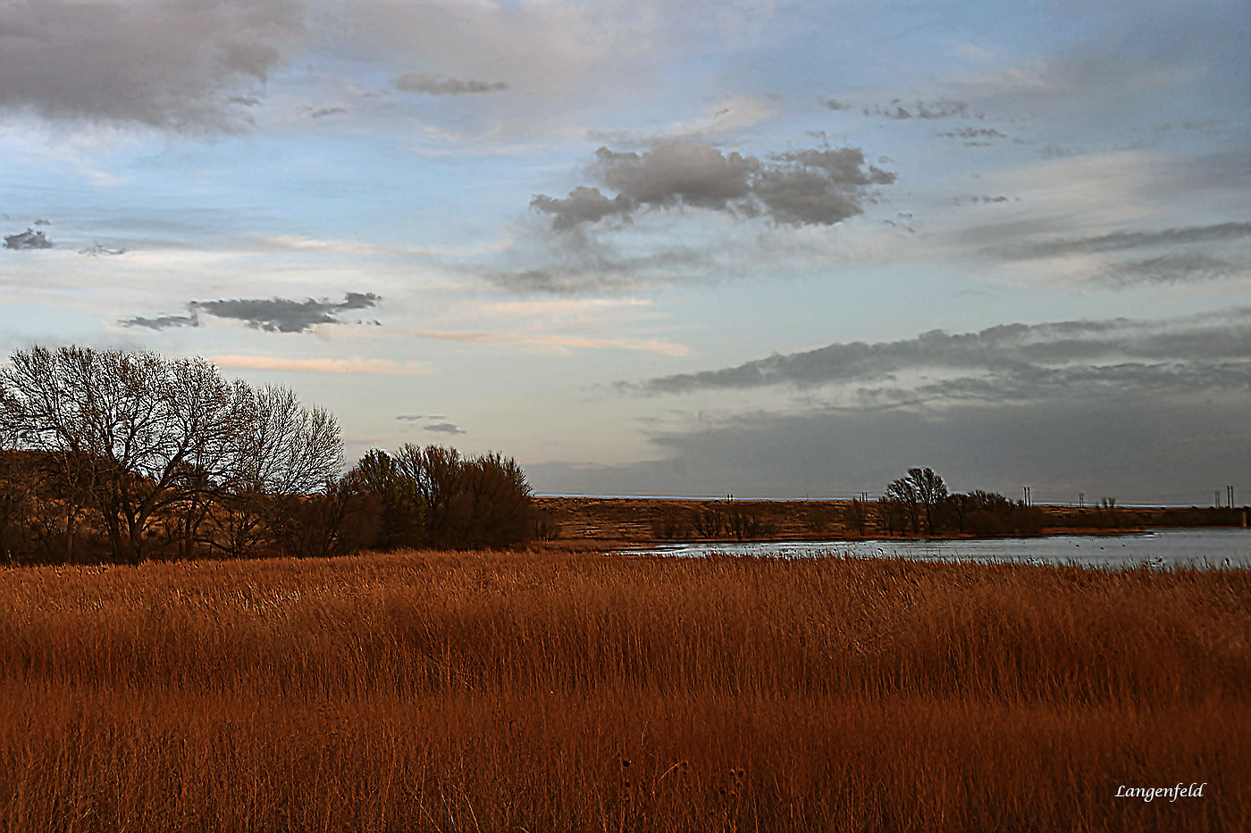 Rita Blanca City Park