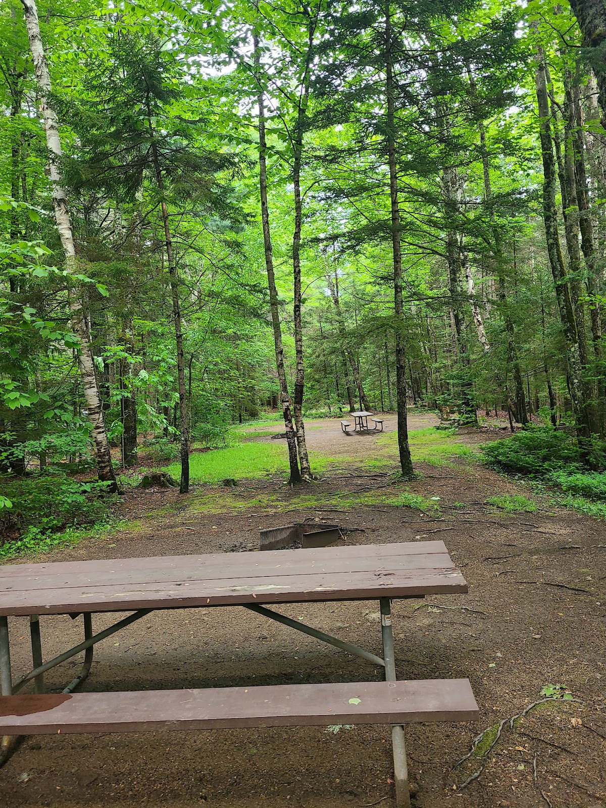 Waterville Valley Campground