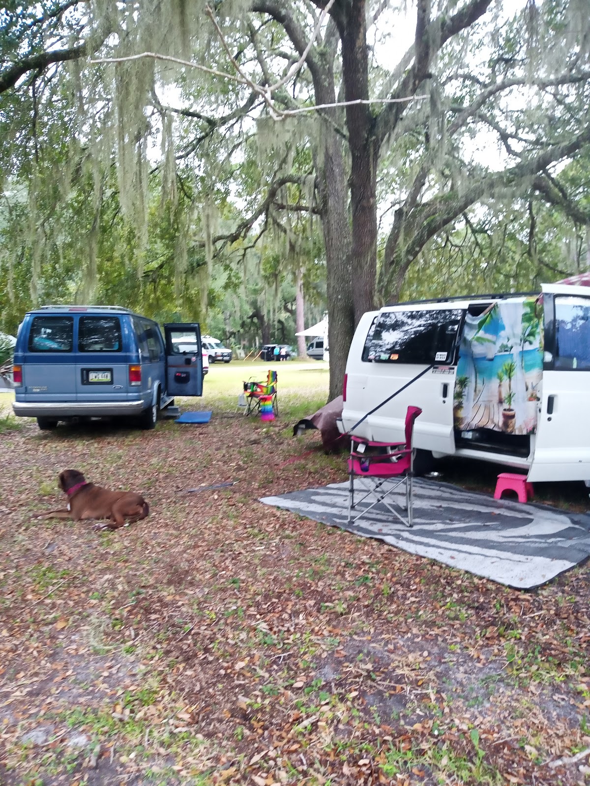 River Forest Group Site