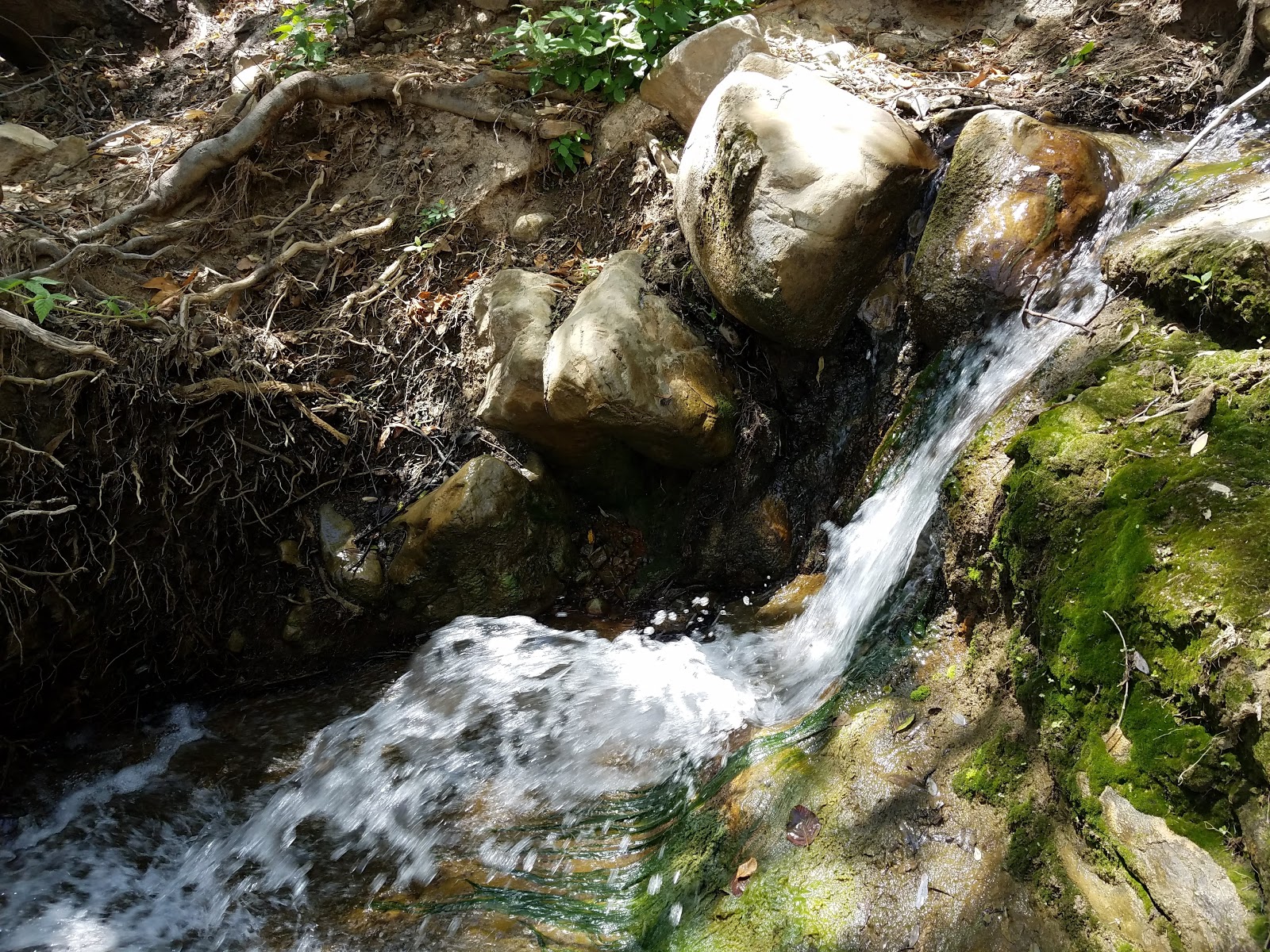 Wheeler Gorge Campground