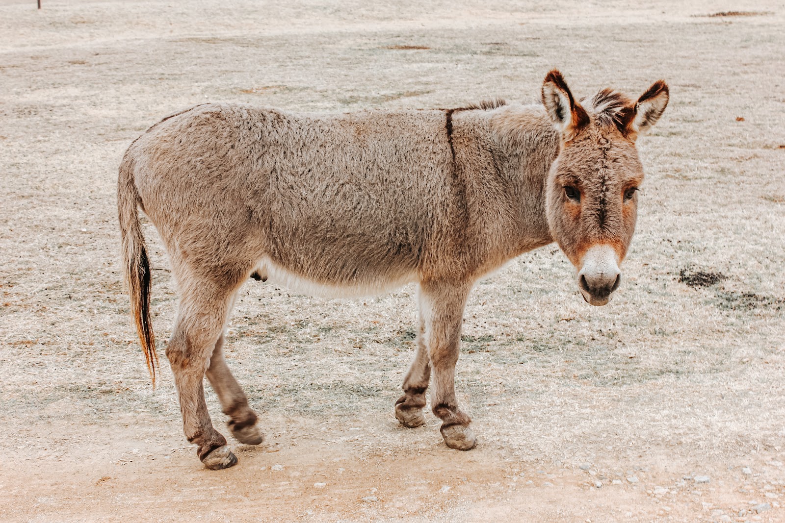 Hidden Lake RV Ranch & Safari