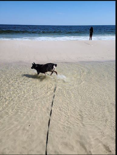 Magnolia Springs RV Hideaway