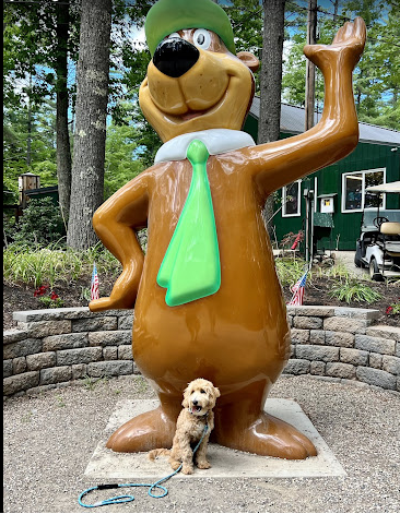 Yogi Bears Jellystone Park Camp-Resort Lakes Region