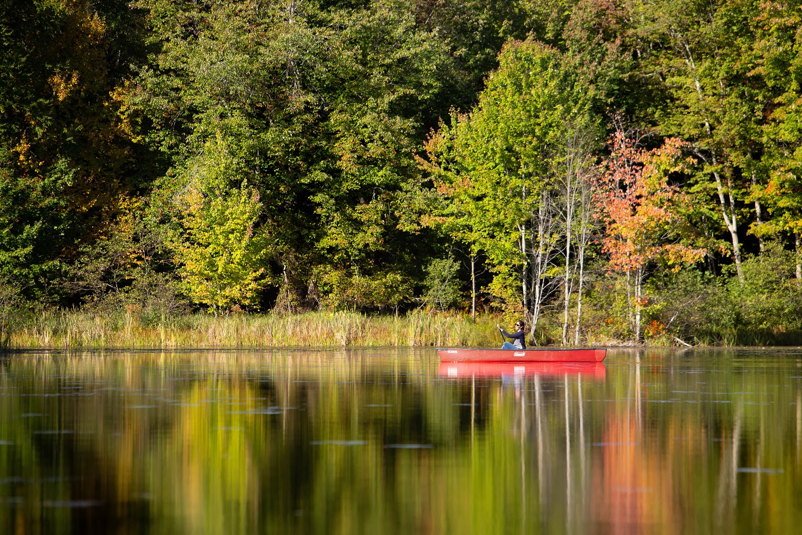 Strafford - Lake Winnipesaukee South KOA Holiday