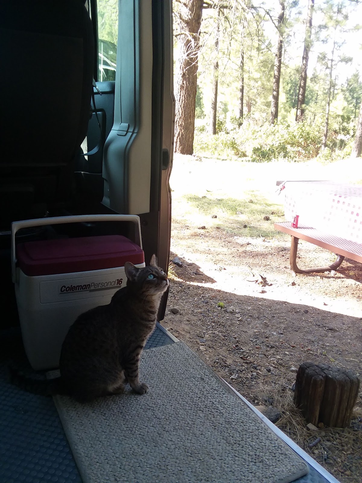 Old Station Campground