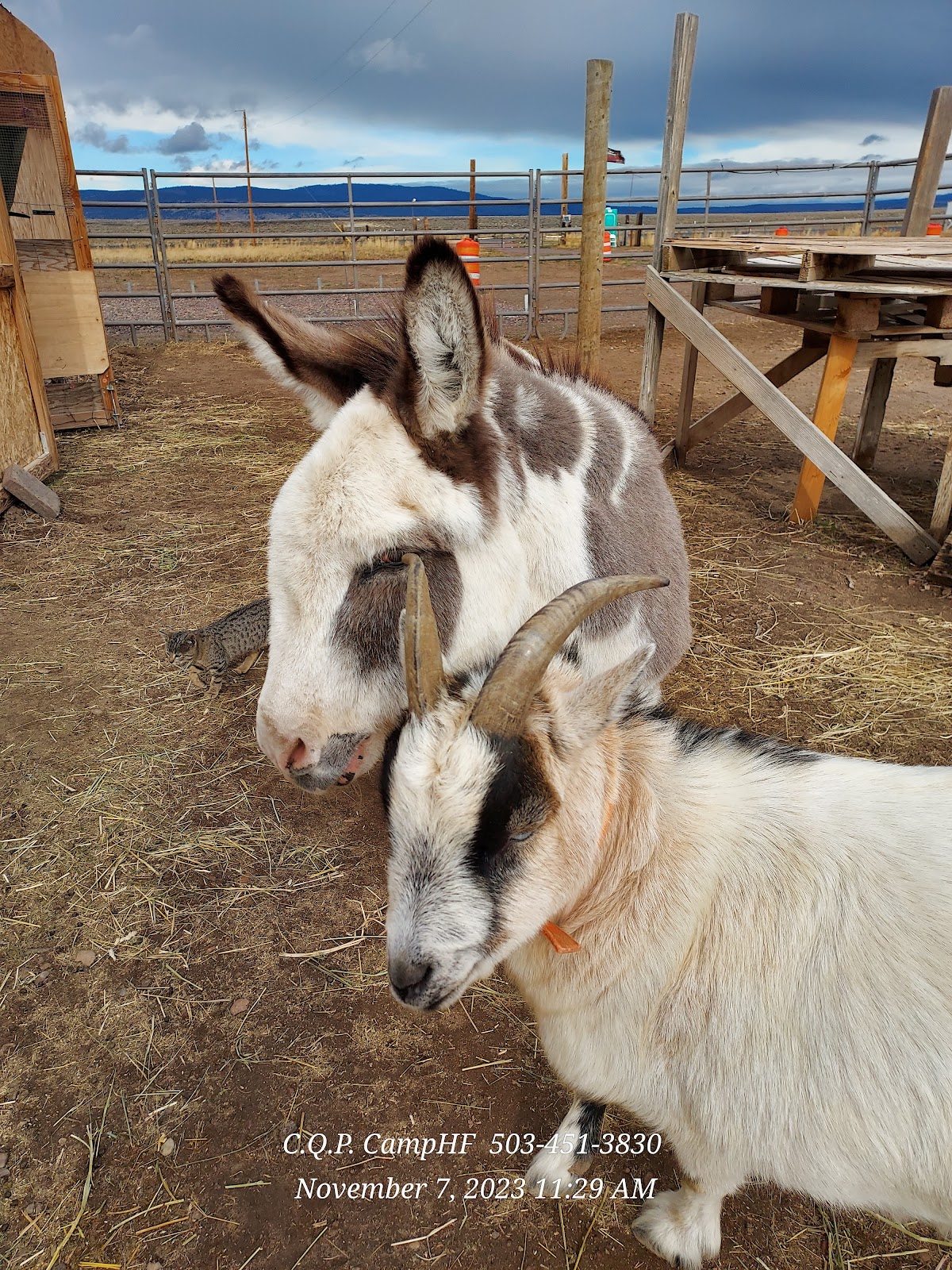 The Tuckers' Private Campground & Hobby Farm