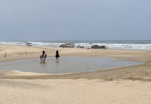 Coastal Dunes RV Park