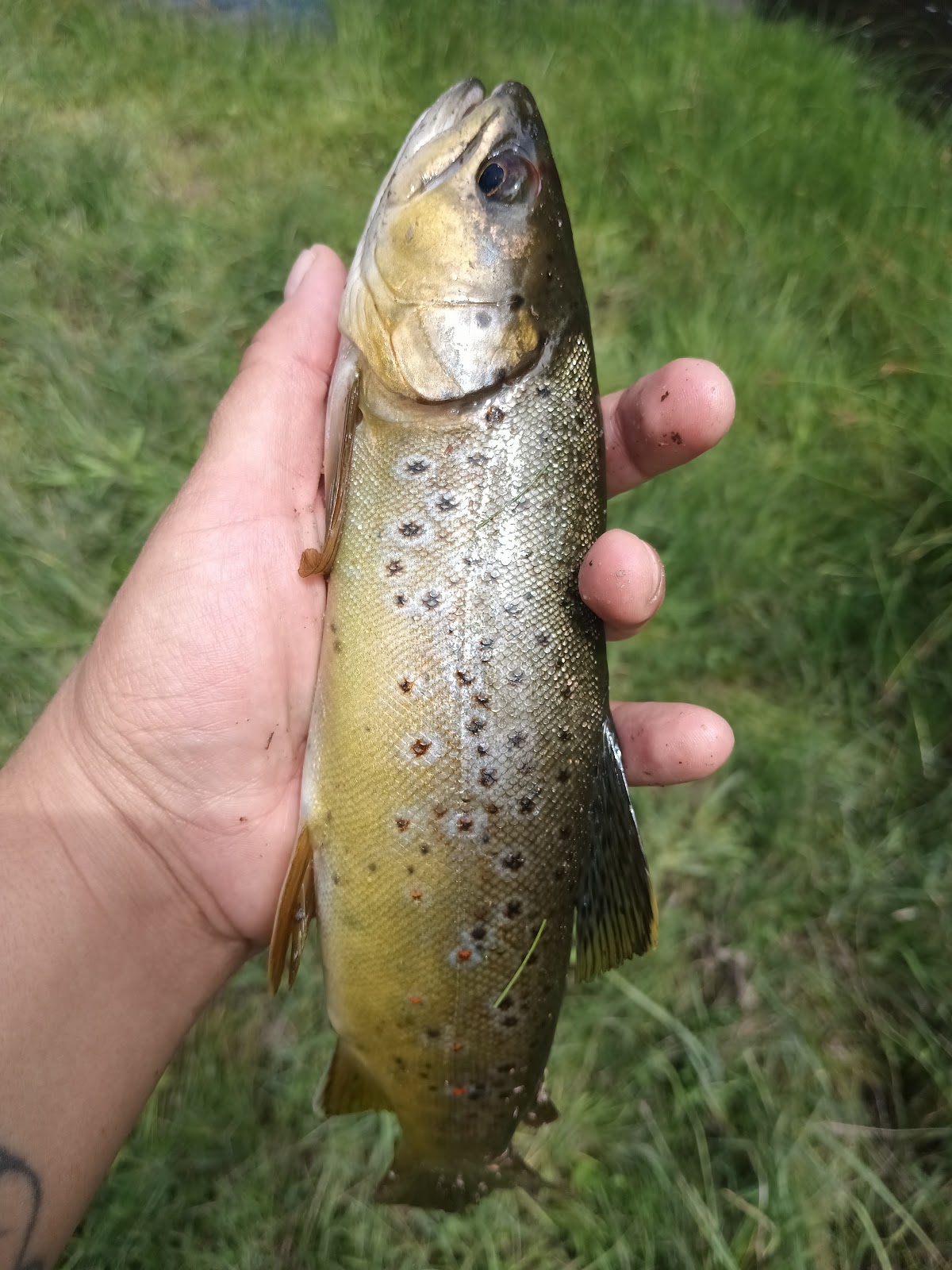 Ash Creek Campground