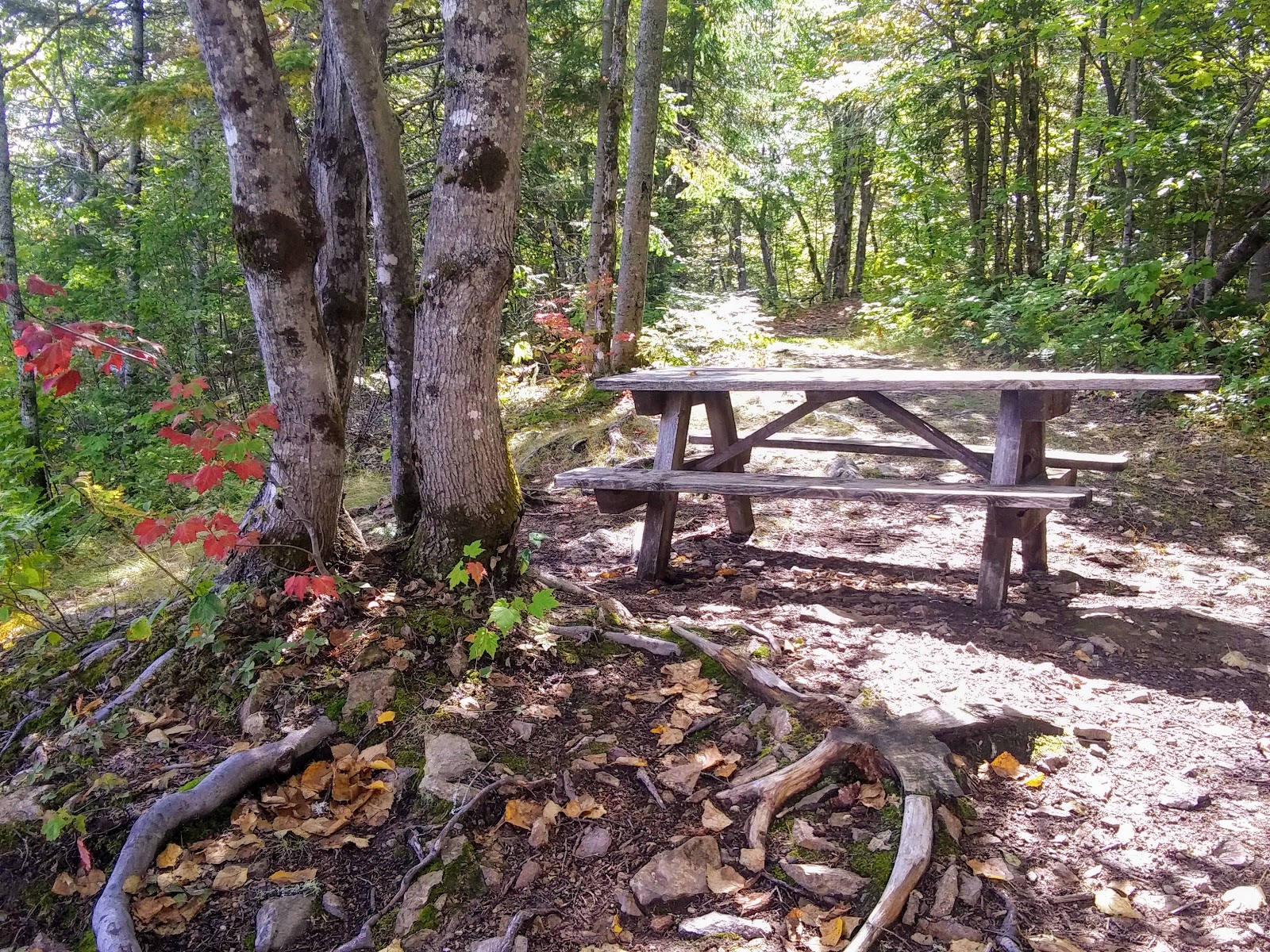 Aroostook Campground