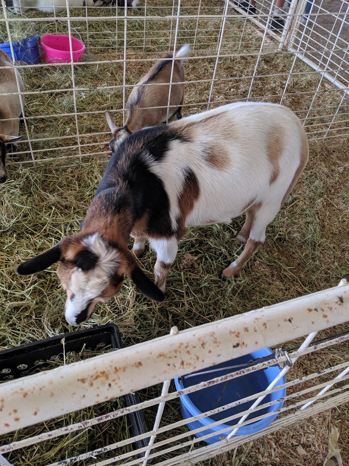 Jerome County Fairgrounds