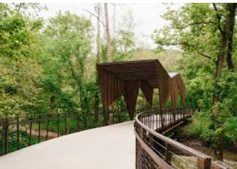 Coler Mountain Bike Preserve