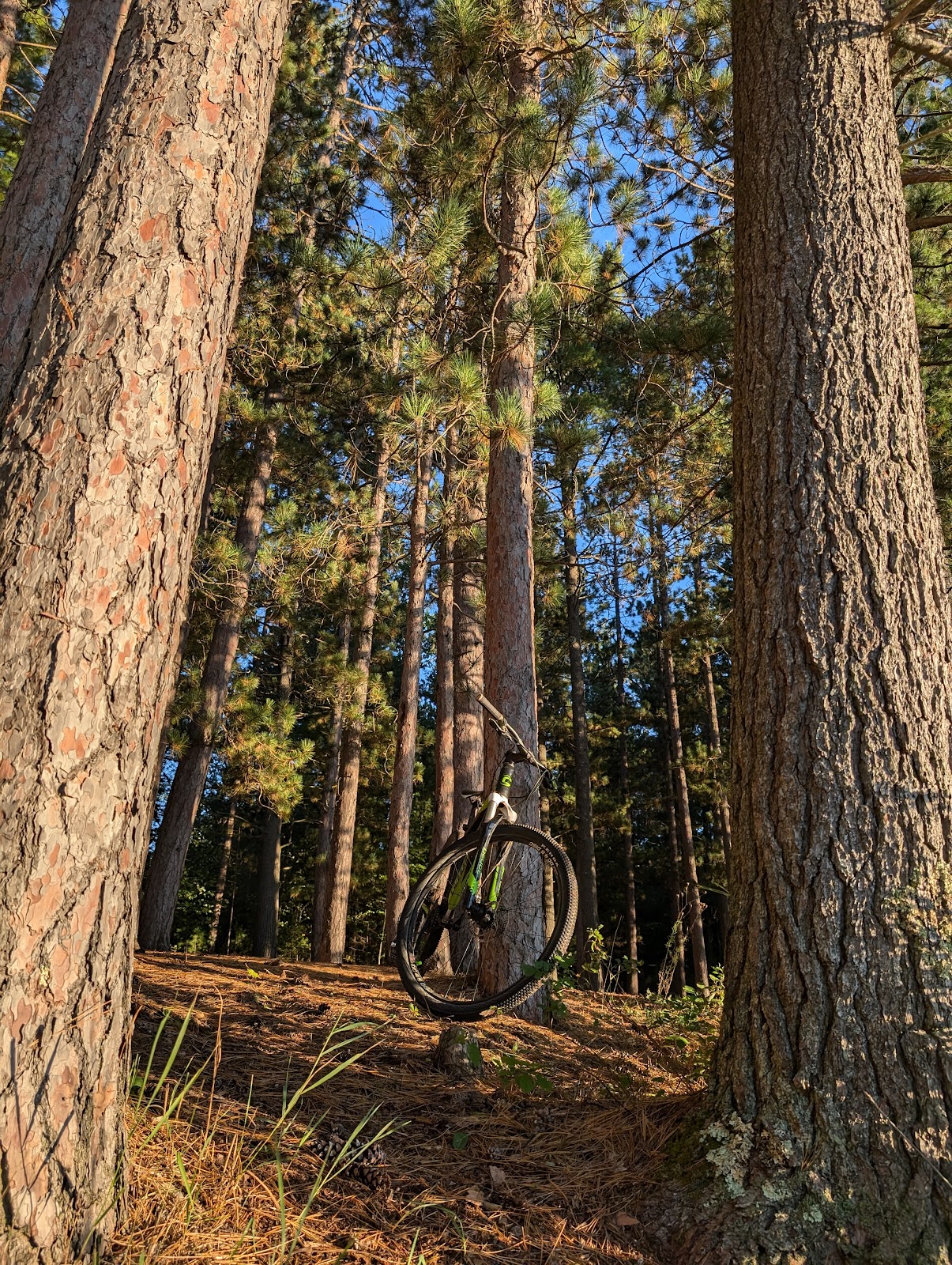 Round Lake SF Campground