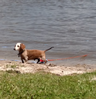 Marina Village Resort