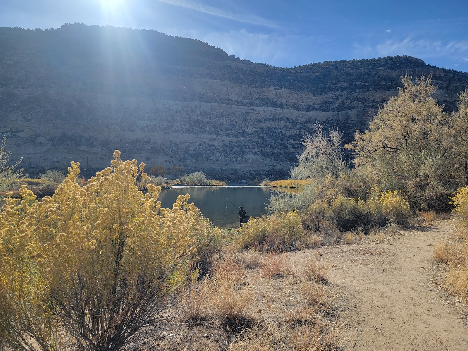 Cottonwood - Navajo Lake State Park