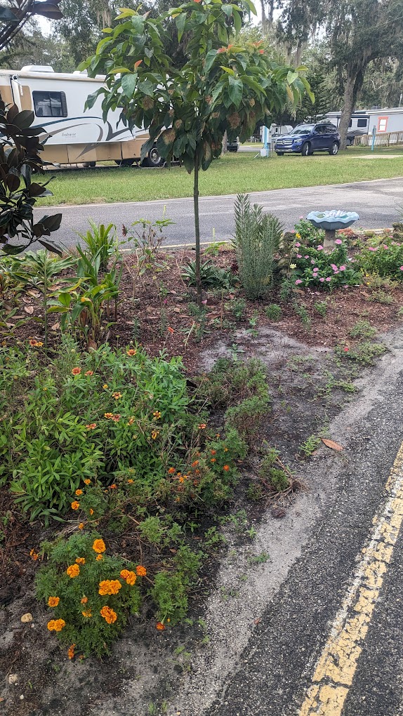 Florilow Oaks RV Park