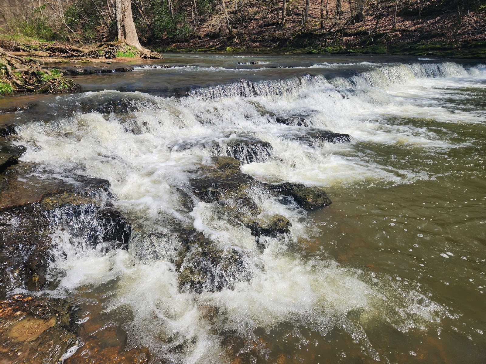 Campground 1 - David Crockett State Park