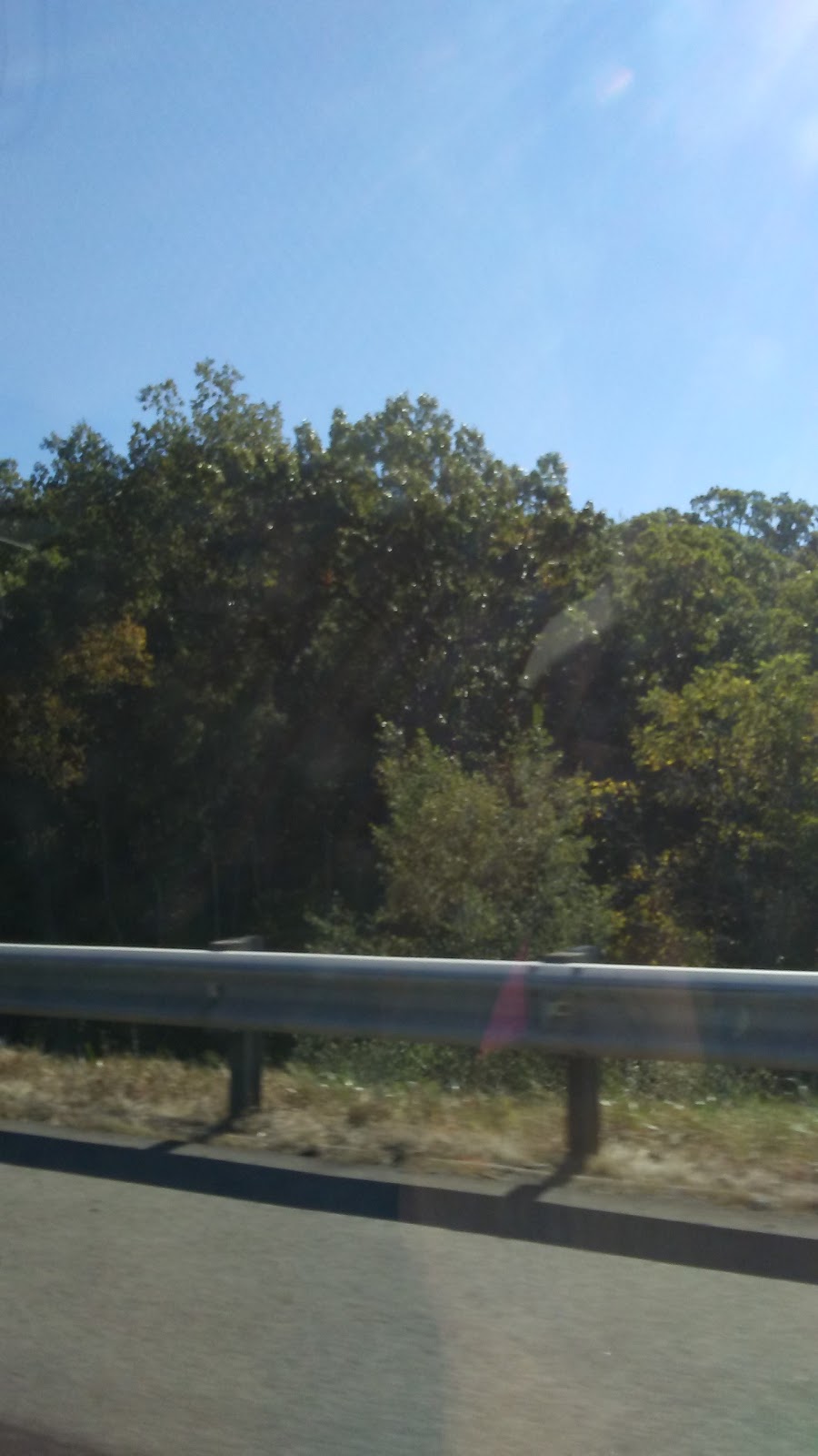 CassidyÂŒÃ‡s Motel and RV Park