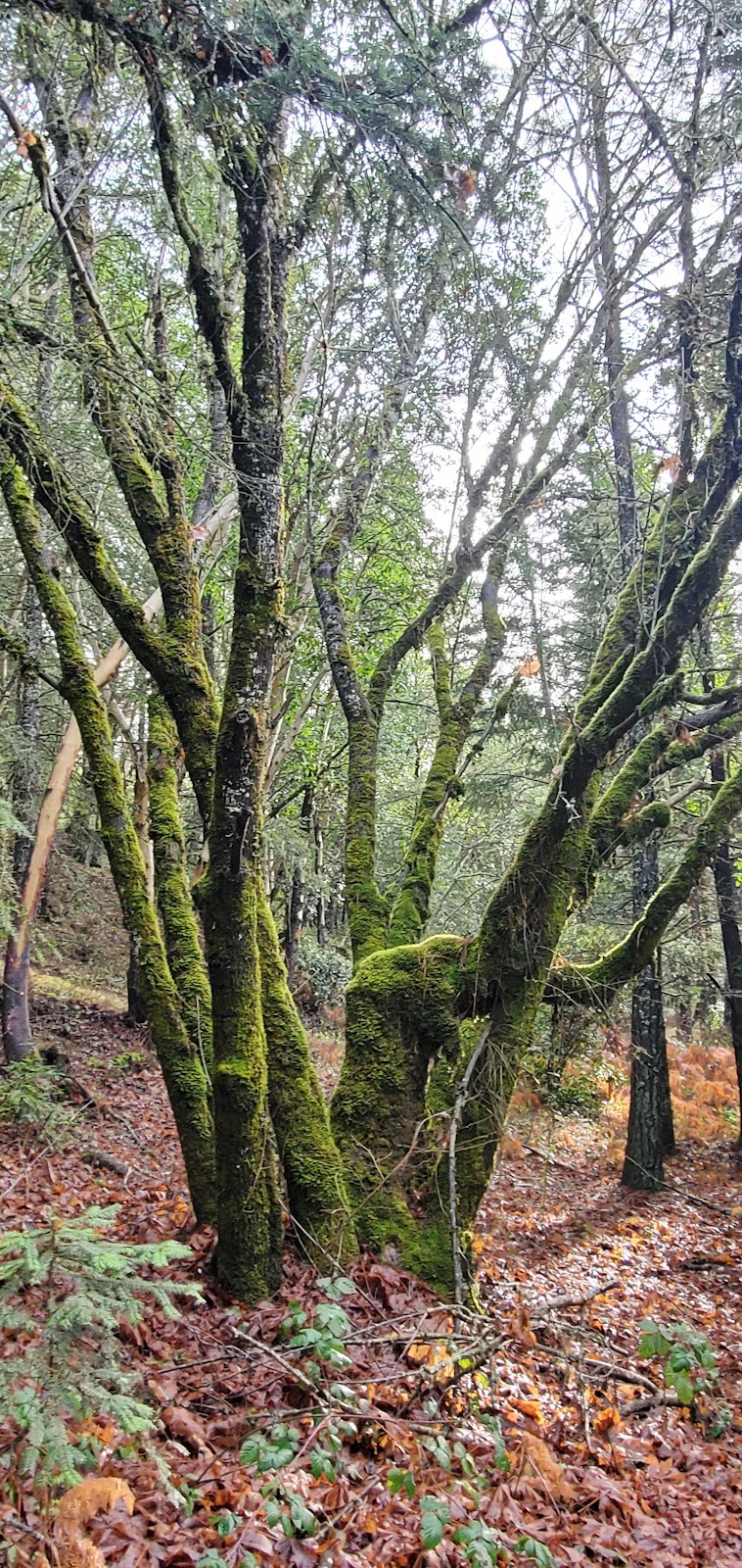 Meadow Wood RV & Campground