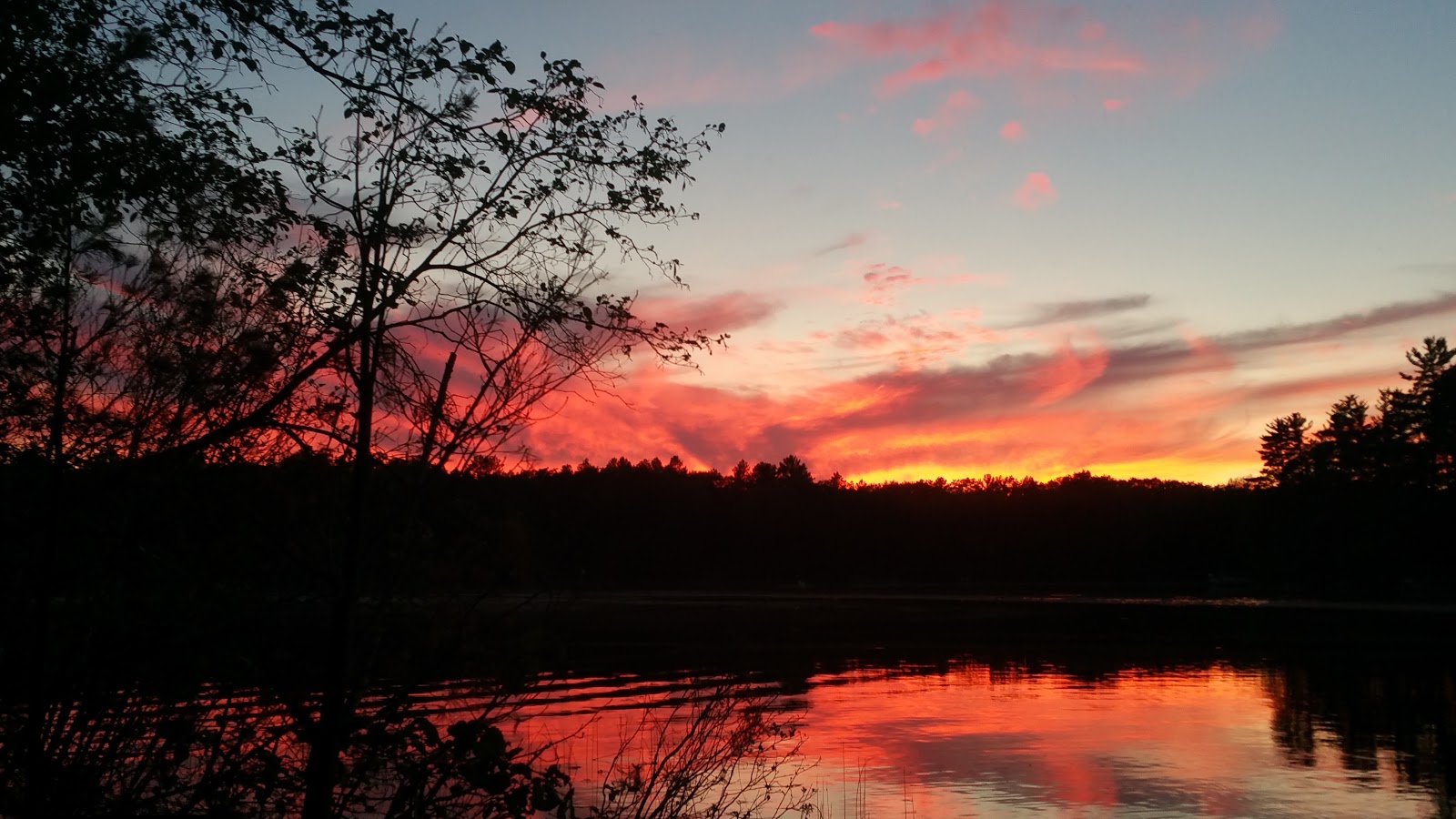 Little Wolf Lake SF Campground