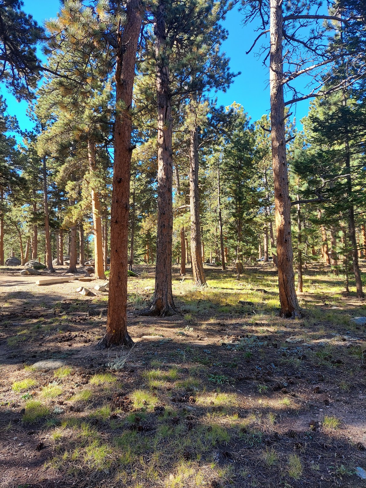 Olive Ridge Campground