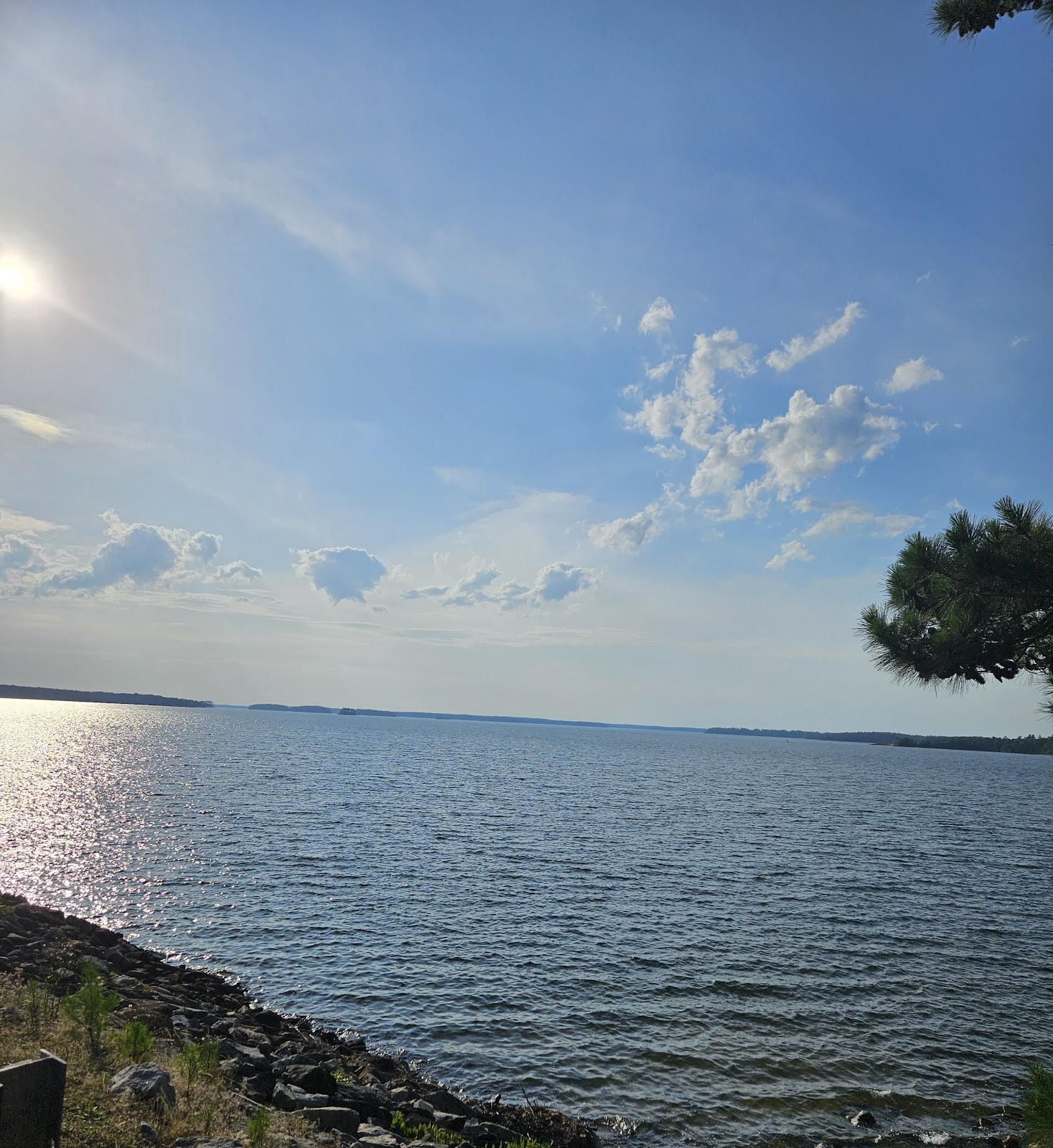 Bussey Point - J Strom Thurmond Lake