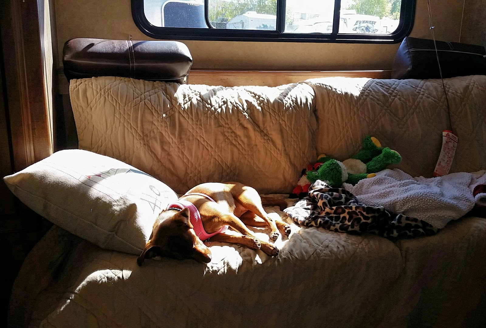 Coyote Valley RV Resort