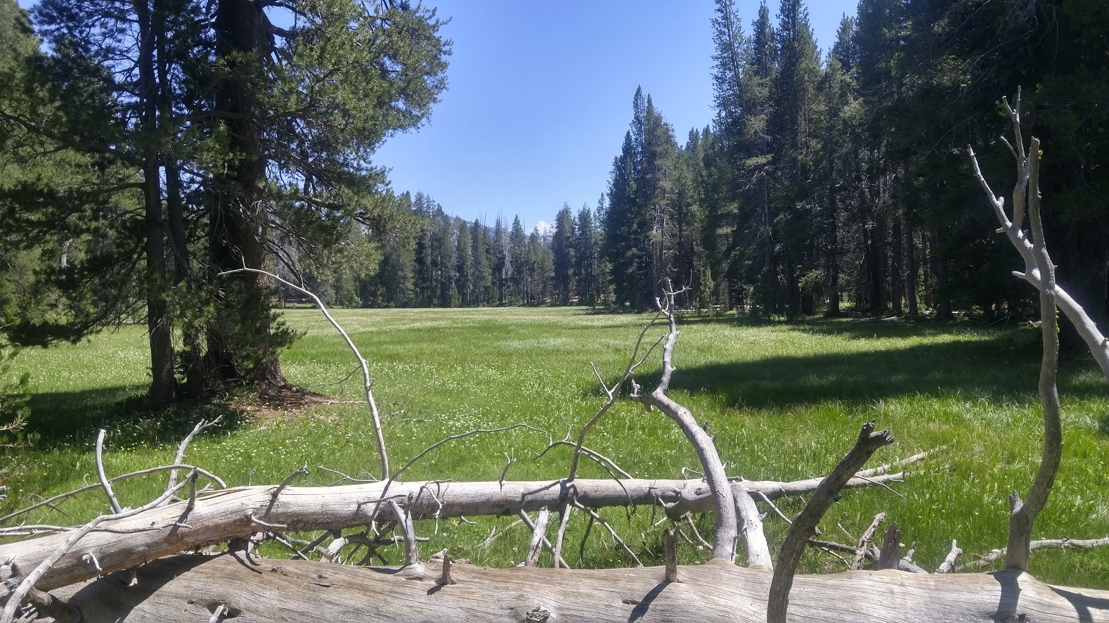 Sample Meadow Campground