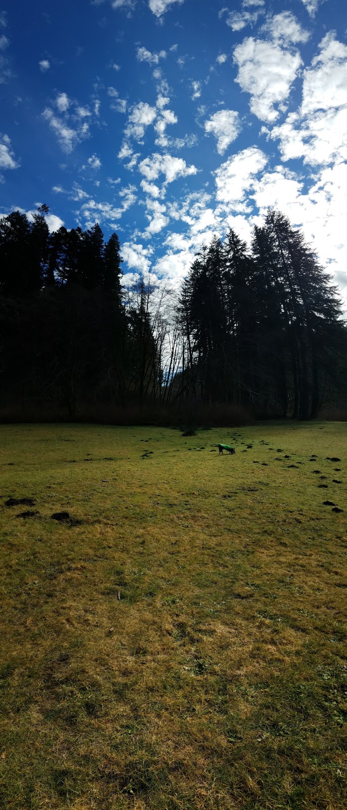 Canal Creek Group Campground