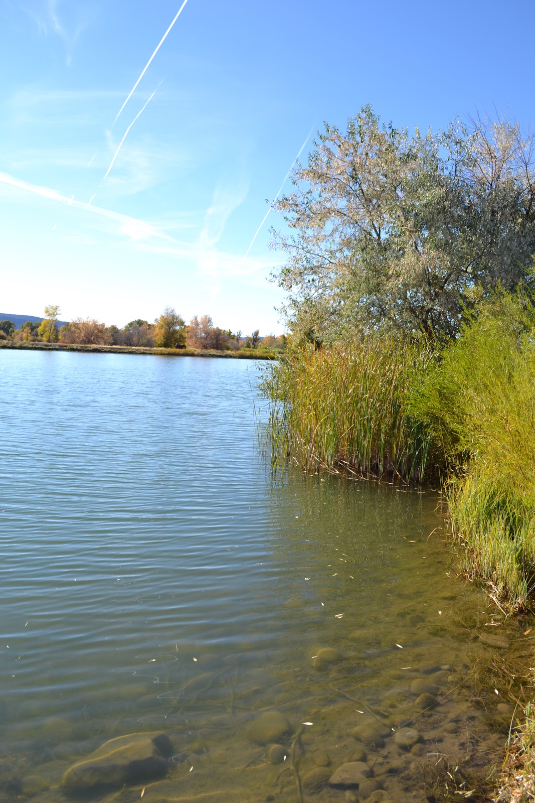 Meeker River Bend RV Park