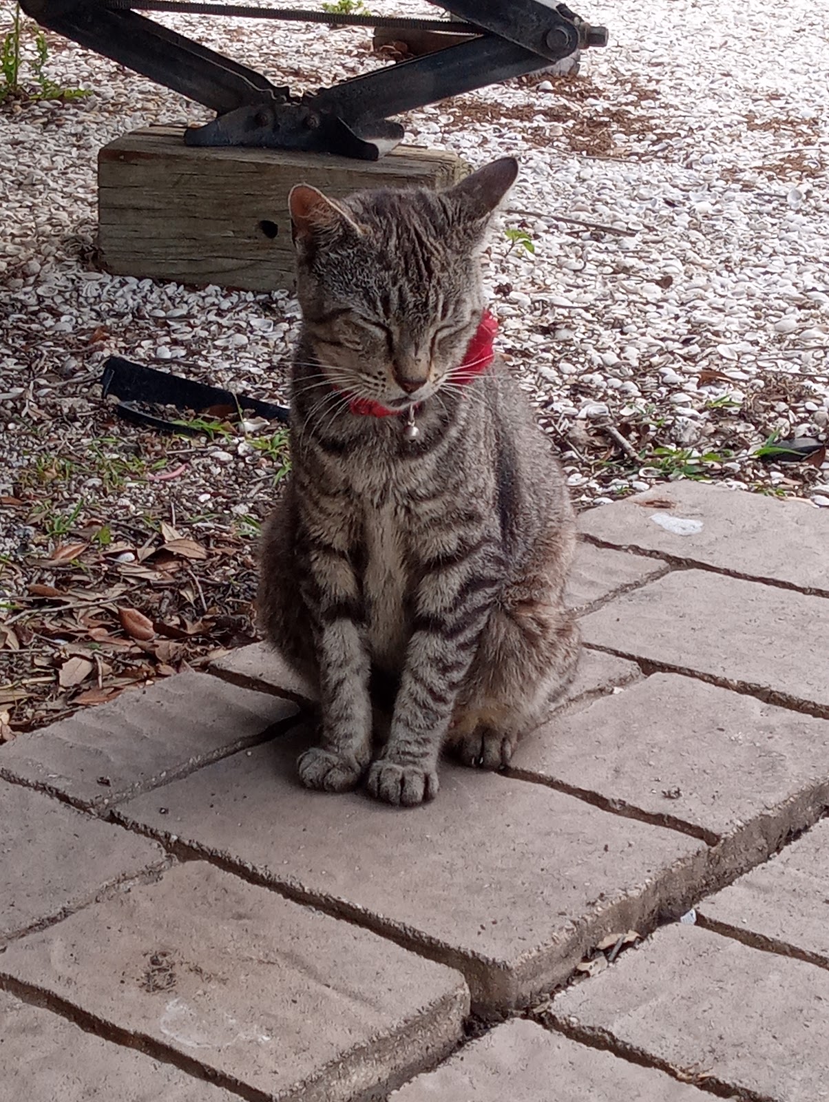 Little Flamingo RV Park