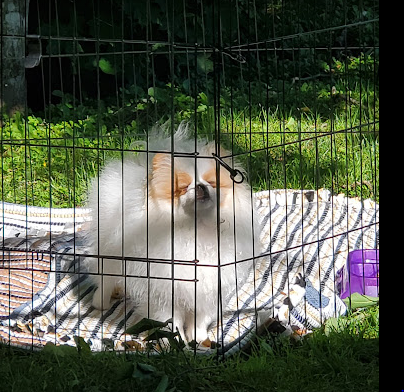 Mill Brook Campground