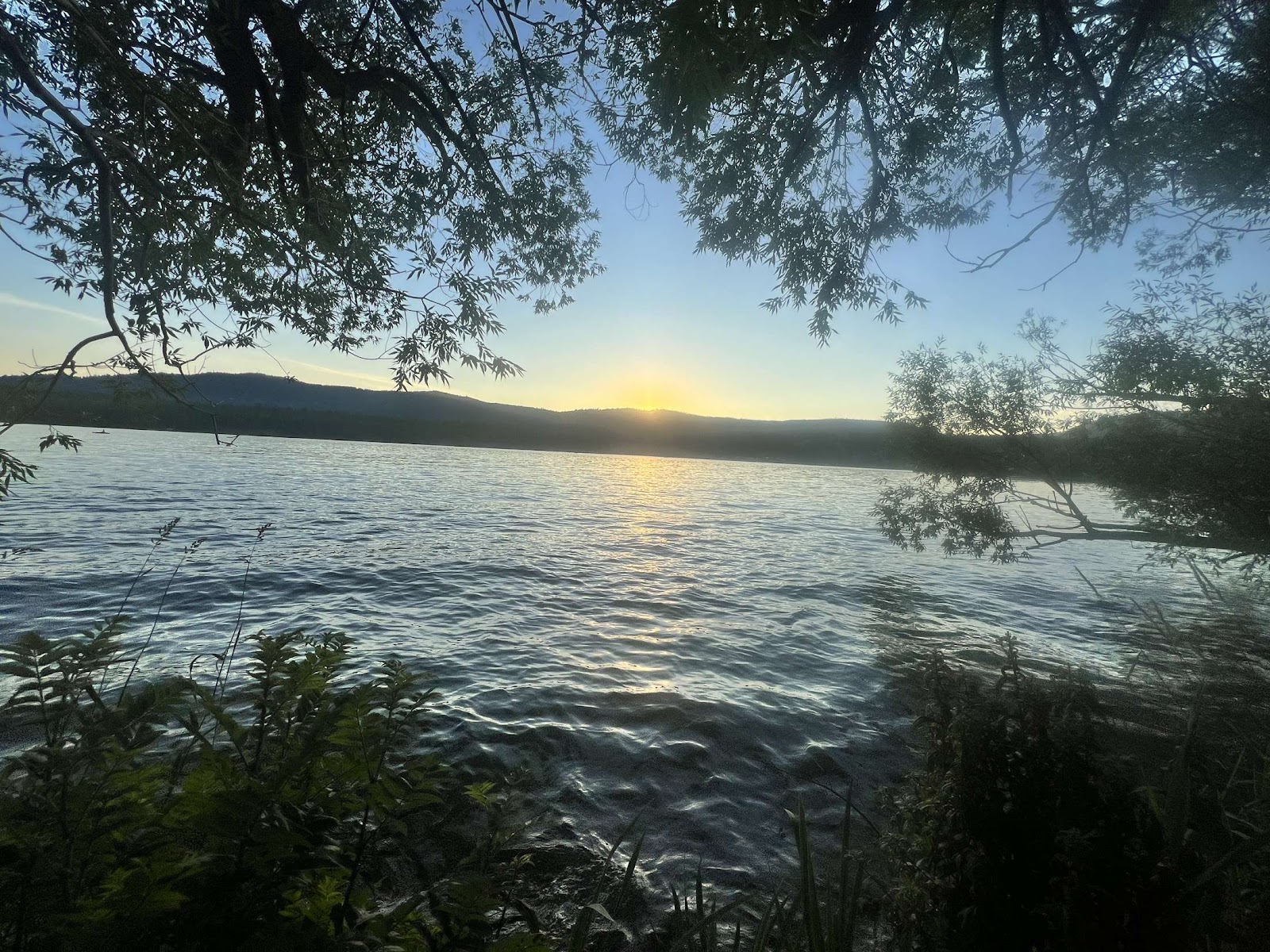 Marsh Willows RV Park