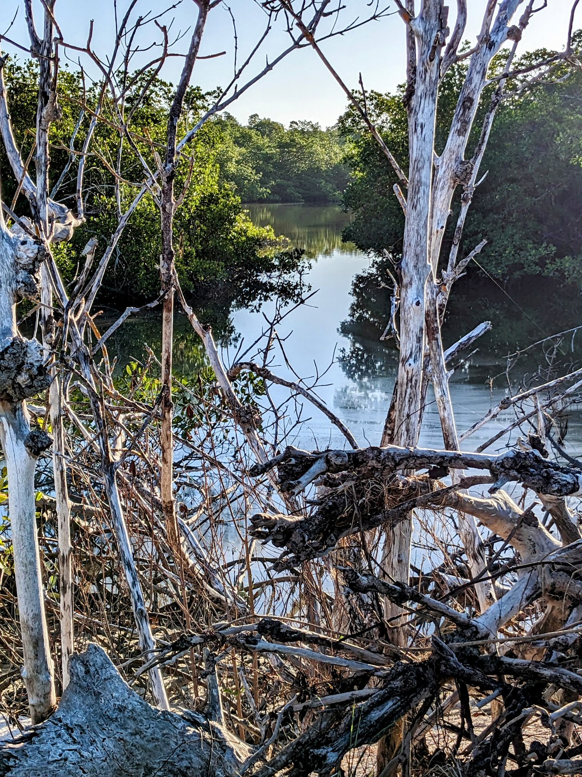 Backcountry Tiger Key - Everglades National Park