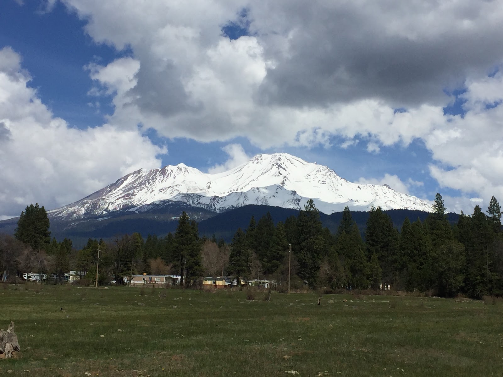 Chateau Shasta Mobile Home and RV Park