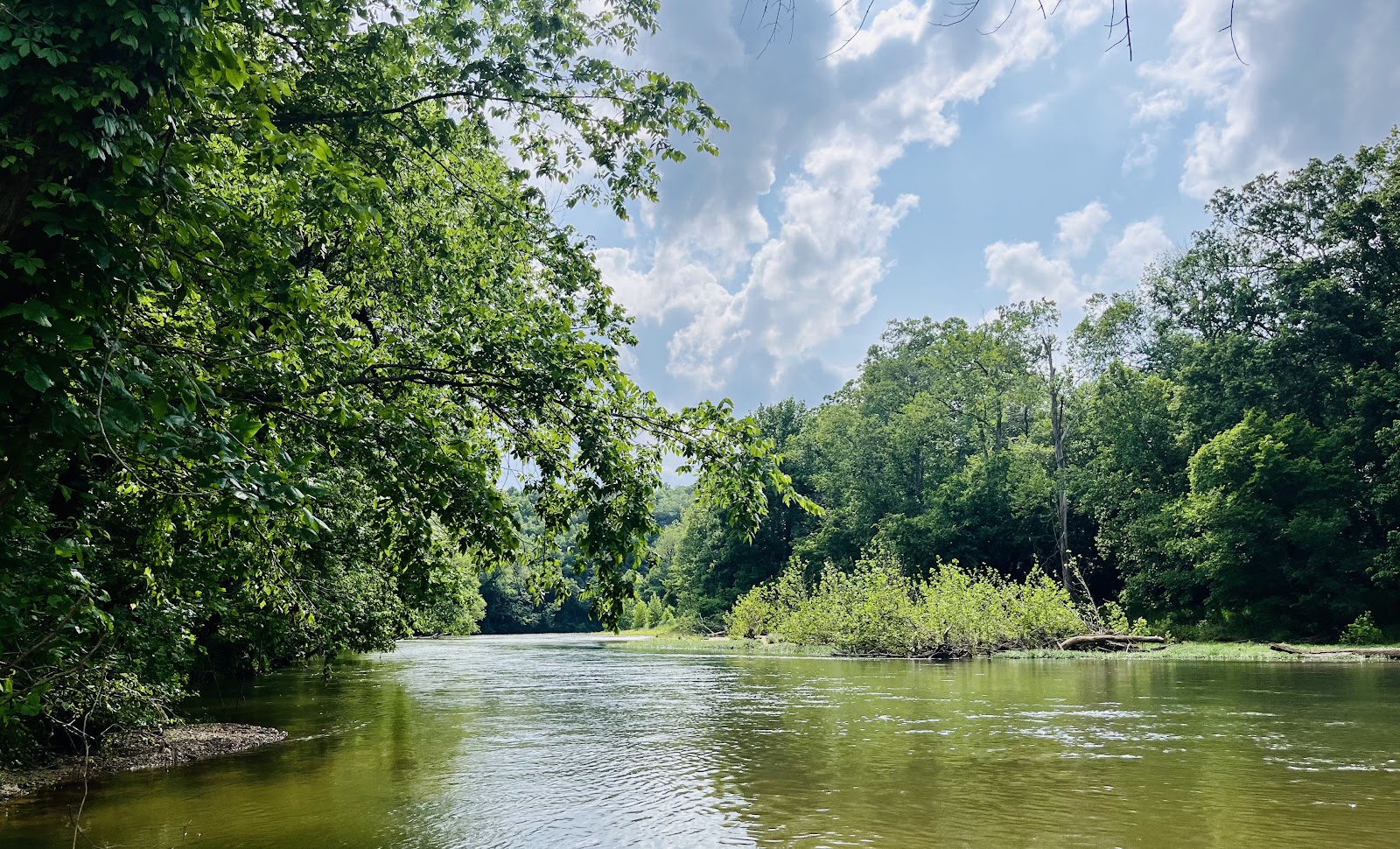 Kings River Outfitters