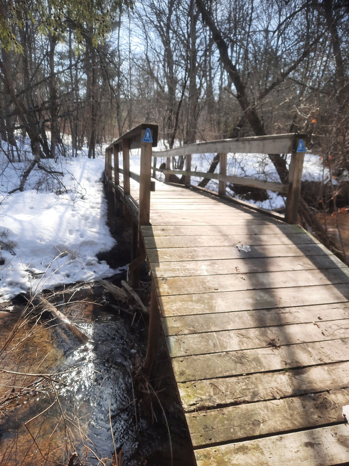 Silver Creek SF Campground