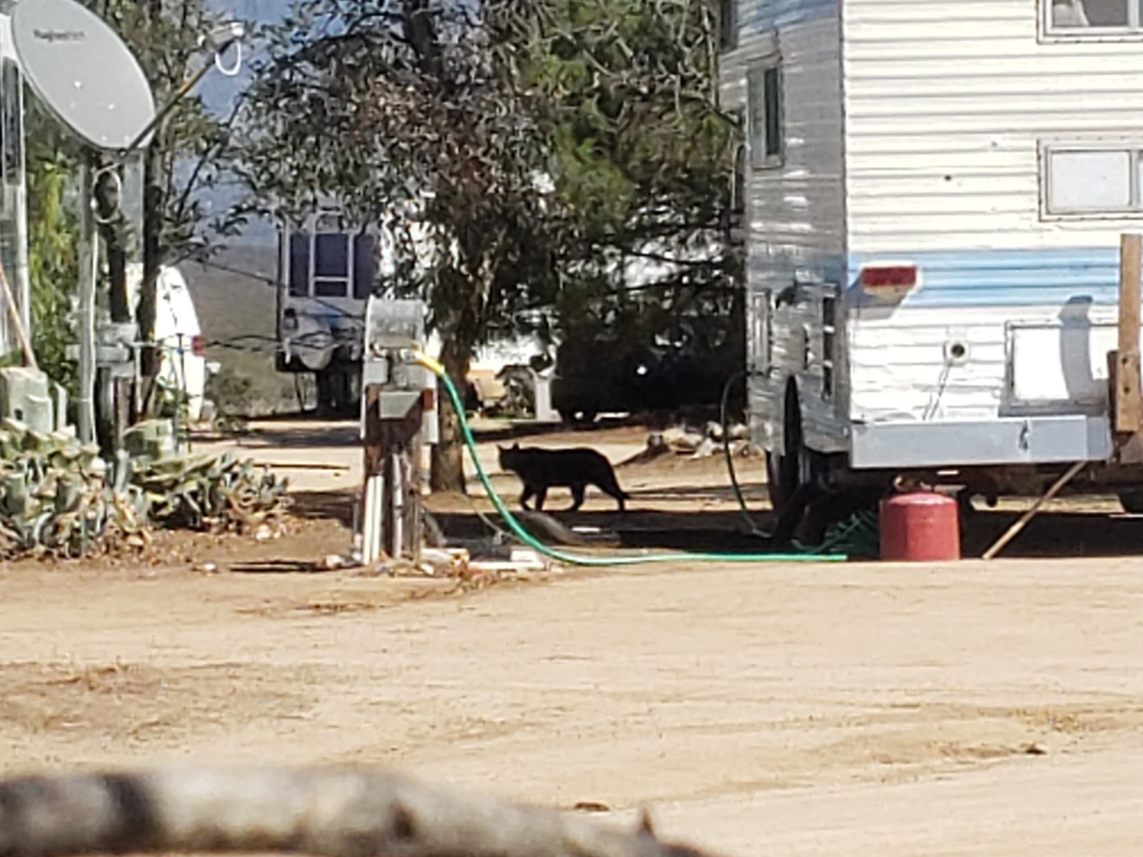 Cowboy Country Campground