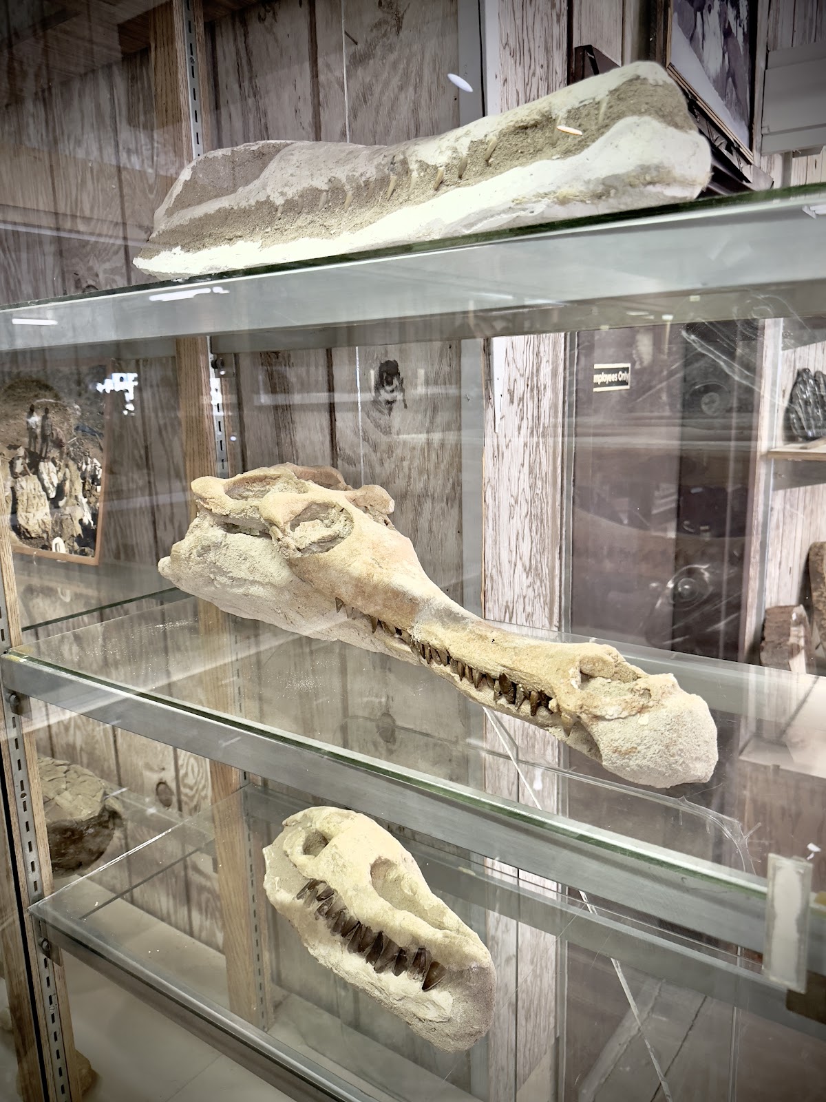 Crystal Forest Gift Shop & Campground and Info