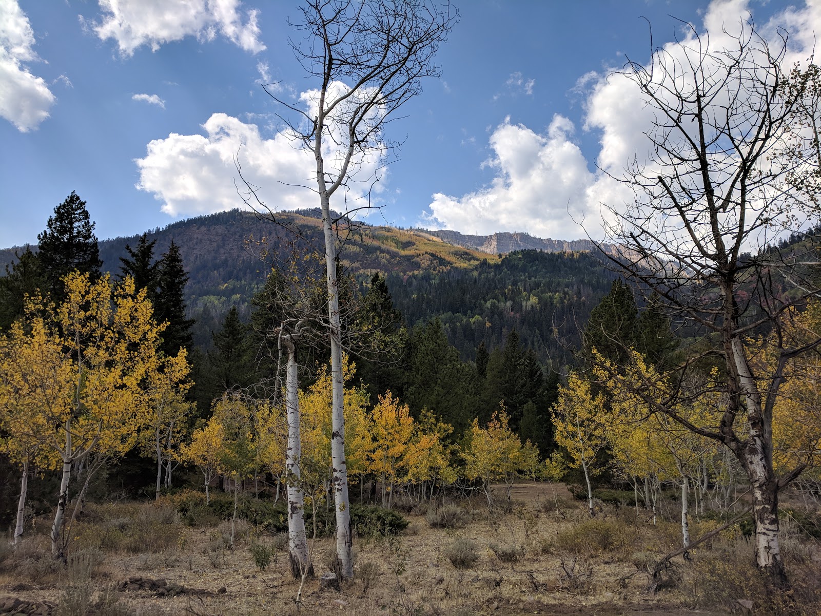 Iron Mine Campground