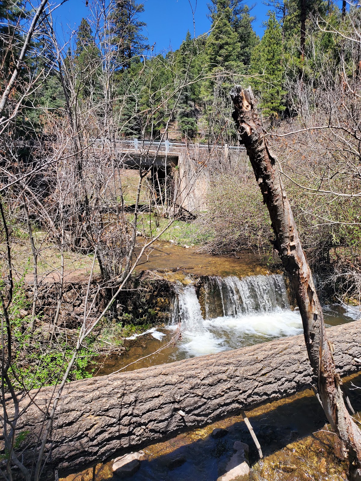 Rio Puerco Campground