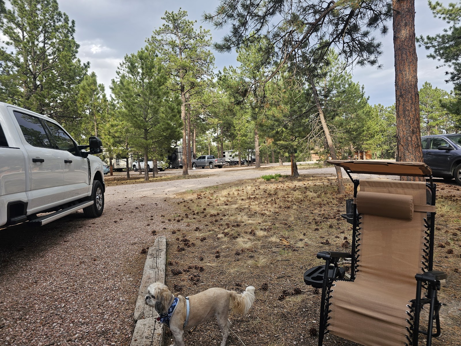 Peregrine Pines FamCamp