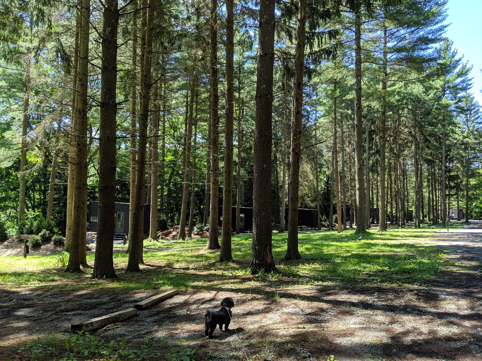 Lock 30 Woodlands RV Resort