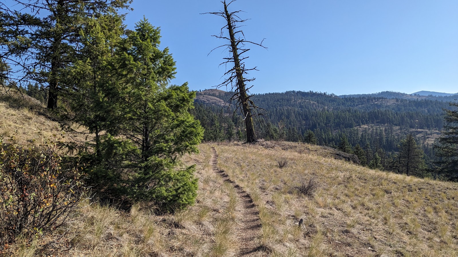 Thirteenmile Campground