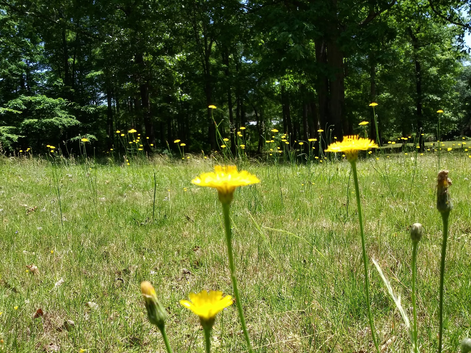 Atlanta West Campground