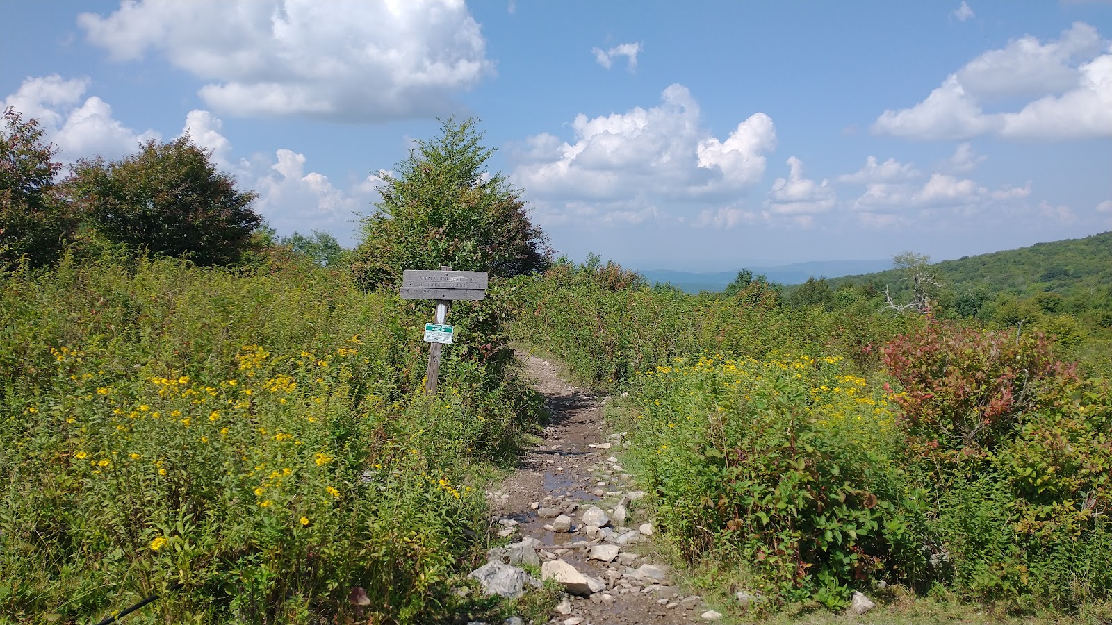 George Washington And Jefferson National Forest