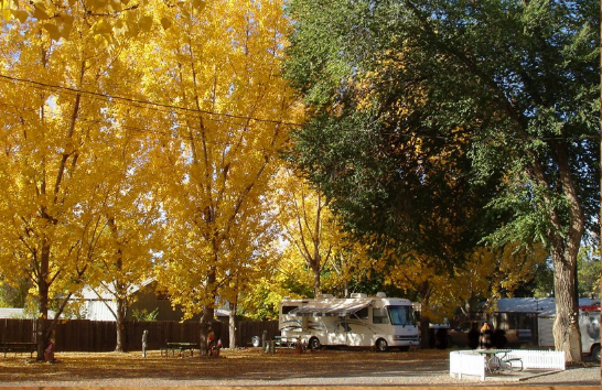 Shady Creek RV Park