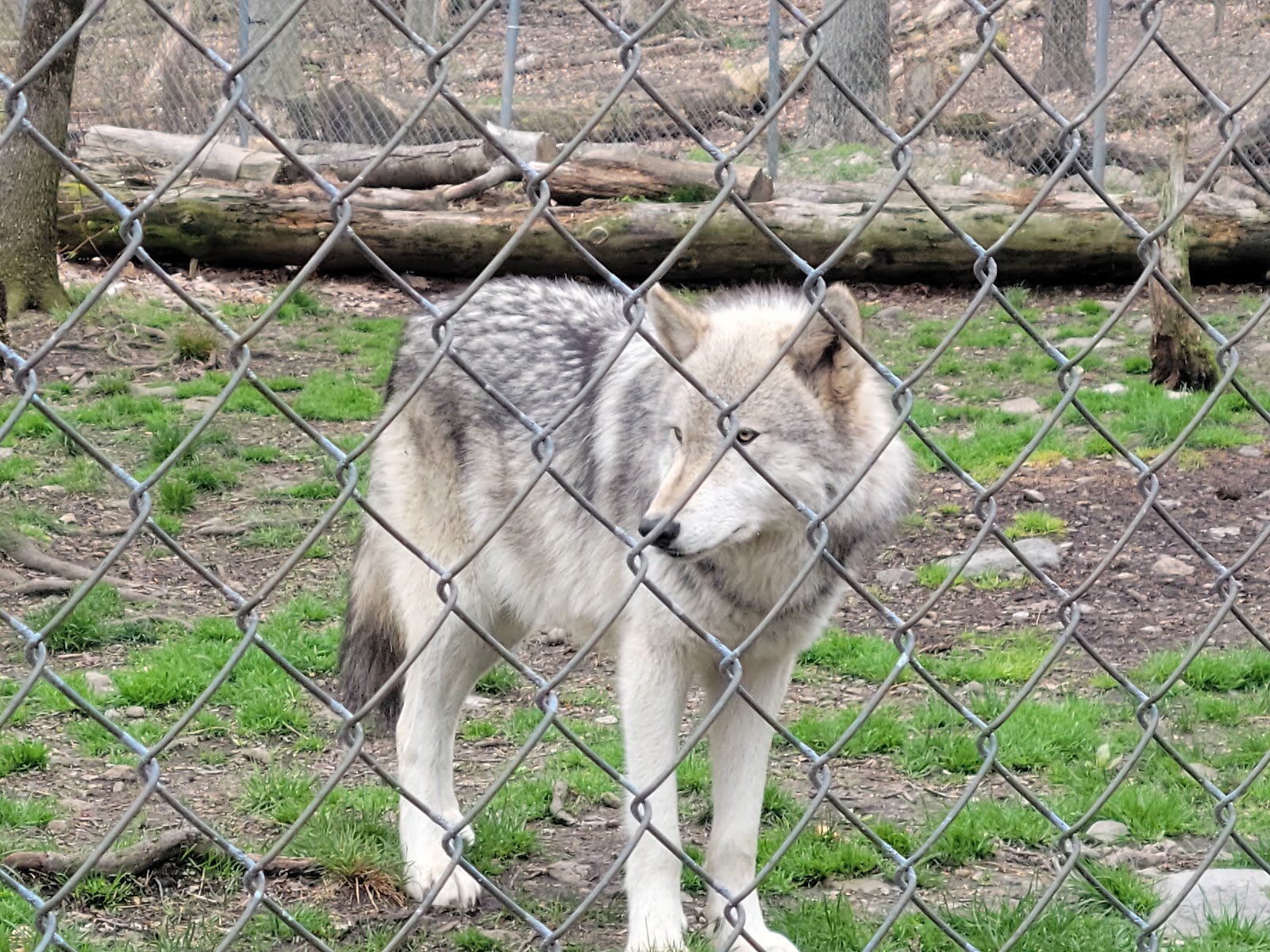 Worthington State Forest