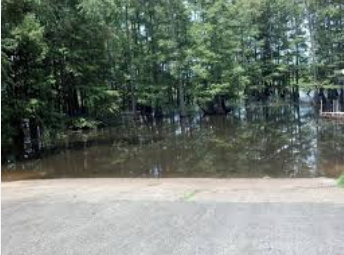 The Lilly Pad at Jack's Isle