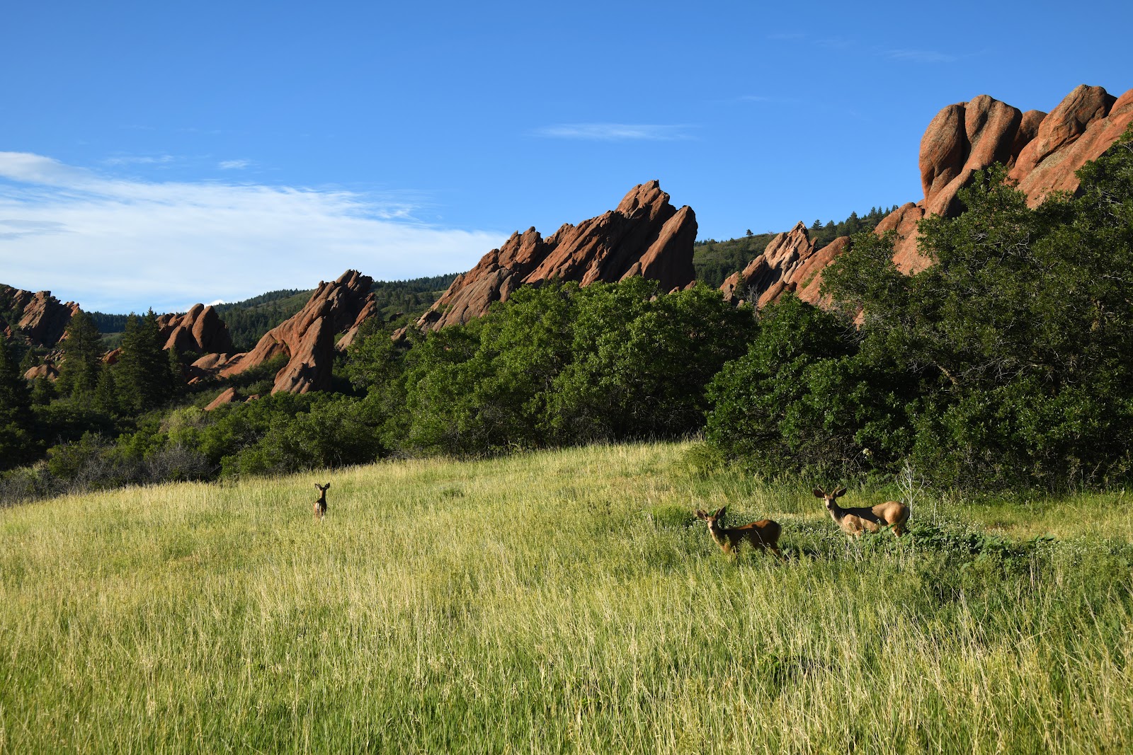 Roxborough State Park