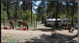 Groom Creek Horse Camp